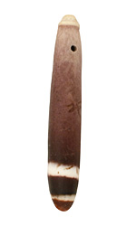 Spined Urchin 10-11x65-83mm