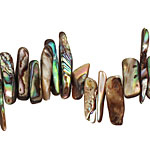 Abalone Stick 3-7x18-23mm