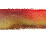 Monet Hand Dyed Velvet Ribbon 1"