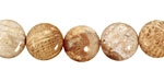 Fossil Coral Puff Coin 12mm