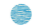 Lillypilly Turquoise Zebra Anodized Aluminum Disc 25mm, 24 gauge