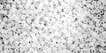 TOHO Ceylon Frosted Snowflake Round 11/0 Seed Bead