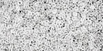 TOHO Transparent Crystal Treasure #1 Seed Bead