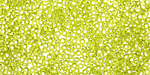 TOHO Lime Green (with Silver Lining) Round 11/0 Seed Bead
