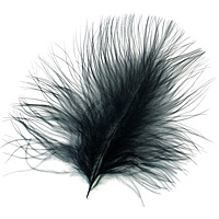 Ebony Marabou Feather 100-152mm