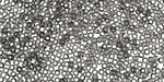 TOHO Transparent Gray Round 11/0 Seed Bead
