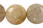 Fossil Coral Puff Coin 25mm