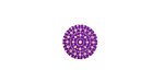 Lillypilly Purple Crochet Anodized Aluminum Disc 11mm, 24 gauge