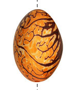 Tagua Nut Gold Nugget 40-45x32-36mm