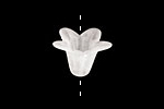 Lucite Seafoam 5 Petal Small Bellflower 12x18mm