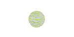 Lillypilly Lime Green Zebra Anodized Aluminum Disc 11mm, 24 gauge