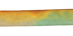 Golden Lichen Hand Dyed 100% Silk Ribbon 7/16"