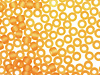 TOHO Transparent Frosted Light Topaz Round 8/0 Seed Bead