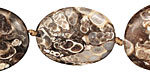 Turritella Agate Flat Oval 25-30x20mm