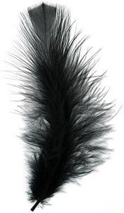 Ebony Turkey Flat Feather 100mm-152mm