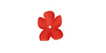 Matte Ruby Lucite Hibiscus Flower 3x11-14mm