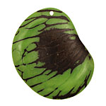 Tagua Nut Apple Groovy Slice 25-35x30-42mm