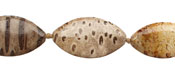 Fossil Coral Horse Eye 22-28x12-13