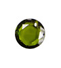 Fern Faceted Coin 16mm