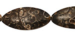 Turritella Agate Horse Eye 26-37x13-19mm