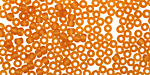 TOHO Transparent Frosted Dark Topaz Round 8/0 Seed Bead