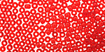 TOHO Transparent Ruby Round 8/0 Seed Bead