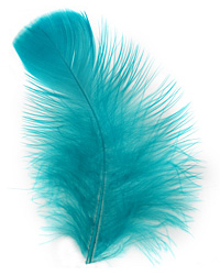 Teal Turkey Flat Feather 100-152mm