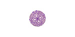 Lillypilly Purple Geometrics Anodized Aluminum Disc 11mm, 24 gauge