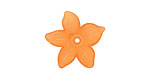 Lucite Tiger Lily 5 Petal Flower 2x20mm