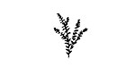 Flax Mini Rubber Stamp 13x16mm