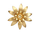 Brass Daffodil 34mm