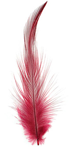 Mulberry Neck Hackle Feather 100-152mm