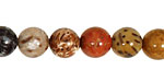 Palm Jasper Round 10-11mm