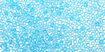 TOHO Transparent Aquamarine Round 11/0 Seed Bead