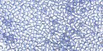 TOHO Light Sapphire (with Frosted Silver Lining) Round 11/0 Seed Bead