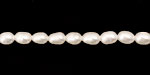Pearly White Rice 5-6x4-5mm