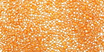 TOHO Jonquil (with Burnt Orange Lining) Treasure #1 Seed Bead