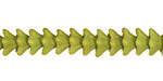 Czech Glass Wasabi Green (matte) 5 Point Bellflower 6x9mm