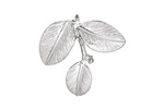 Ezel Findings Rhodium (plated) Camellia Leaves Pendant 27x24mm