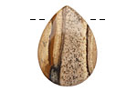 Picture Jasper Flat Teardrop Pendant 22x30mm