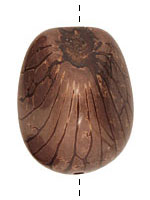 Tagua Nut Dark Brown Nugget 40-45x32-36mm