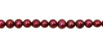 Pepper Red Potato 4.5-5mm