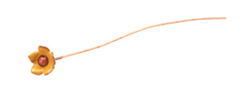 C-Koop Enameled Metal Dark Mustard Small 5 Petal Headpin 9-10mm