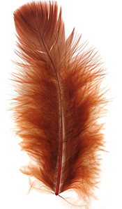 Chestnut Turkey Flat Feather 100-152mm