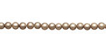 Champagne (matte) Shell Pearl Round 4mm