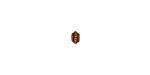 TierraCast Antique Copper (plated) Coiled Heishi 5mm