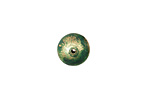 Missficklemedia Patinated Laurel Green Satin Brushed Rondelle 11x17mm