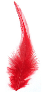 Scarlet Neck Hackle Feather 100-152mm