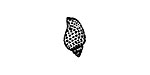 Babylon Shell Mini Rubber Stamp 8x15mm