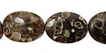 Turritella Agate Flat Oval 20-25x15-19mm